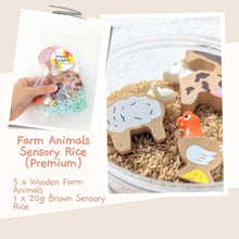 Load image into Gallery viewer, [LOCAL SELLER] Activity Packs for Kids | Children Goodie Bag | Sun catcher Rock Painting Dino Hairband Rice Farm Animal
