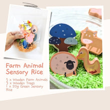Load image into Gallery viewer, [LOCAL SELLER] Activity Packs for Kids | Children Goodie Bag | Sun catcher Rock Painting Dino Hairband Rice Farm Animal
